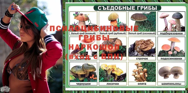 PSILOCYBIN Бронницы