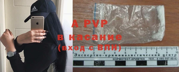 PSILOCYBIN Бронницы