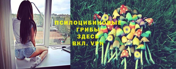 а пвп мука Бородино