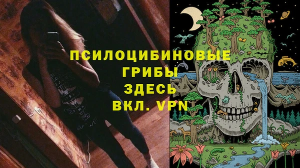 PSILOCYBIN Бронницы