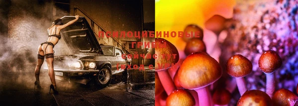 мескалин Нефтекумск