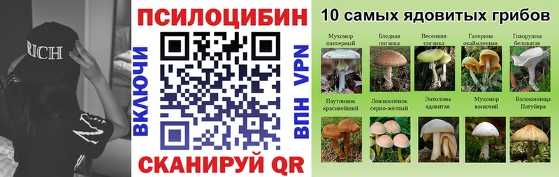 Псилоцибиновые грибы Psilocybine cubensis  Купить где  Весьегонск 